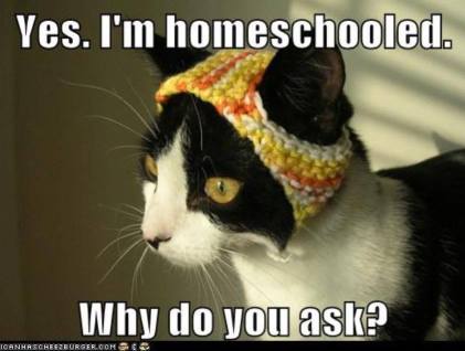 homeschool7